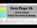 Forex Player EA MT4 Forex Robot $100 To $28568 Profit In Five Months Back Testing