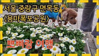 용마폭포공원 반려가족쉼터 영상