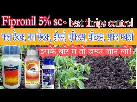fipronil 5% sc। regent insecticide uses in hindi। faster insecticide।fax