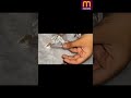 there is lots of seeds in one packet #shorts #seeds #seedsvariety #unboxing #meesho