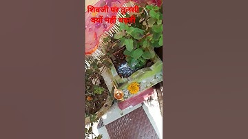 #शिव जी पर#तुलसी क्यो नही चढ़ती#shorts#viral #youtubeshorts#puja #mandir#shiv#upay #bholenath#tulsi