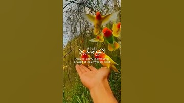 ايات الصبر - اسلام صبحي ❤ حالات واتس اب قران 💚تلاوة خاشعة 💙 Quran Status 💜 اية قرانية قصيره