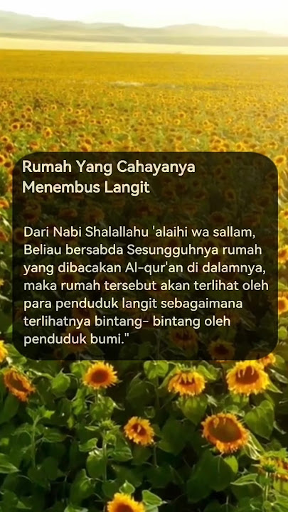kata-kata Mutiara Bijak | Update Status | Story Wa