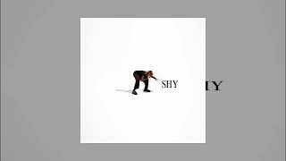 K.Flay – Shy (Instrumental)