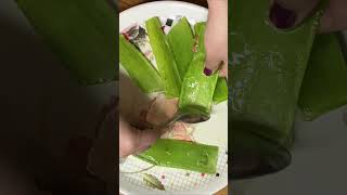 Pure Aloevera Gel At Home