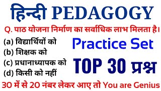 हिन्दी Pedagogy के 30 प्रश्न || online study with Dk