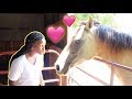 SURPRISING NIQUE WITH A HORSE BACK RIDE!!!