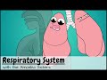 Respiratory system