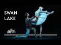 Trailer of the ballet of ballets: Swan Lake | Dutch National Ballet
