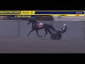 3 yo karl tactical landing  yannick gingras qualified today in 1521 1097 at the meadowlands