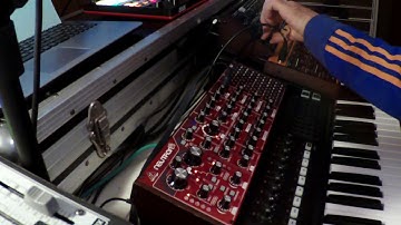 BEHRINGER PRO-1 & CRAVE & NEUTRON SESSION