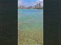WAIKIKI SNORKELING 🌈 Queens Beach ⛱️ There are a lot of fish 🌴 Hawaii John #Shorts #hawaii #waikiki