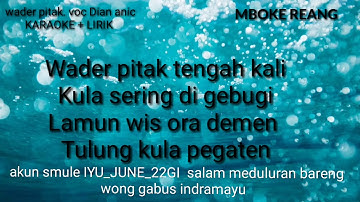 Karaoke Wader pitak. Voc Dian anic