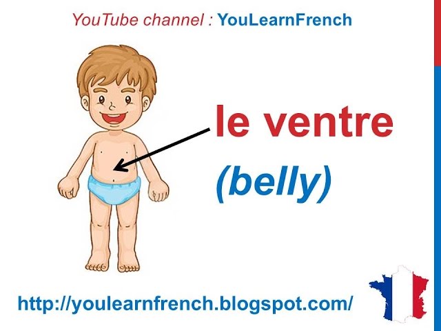 Les ustensiles de cuisine  Learn french, Learn french fast, French  flashcards