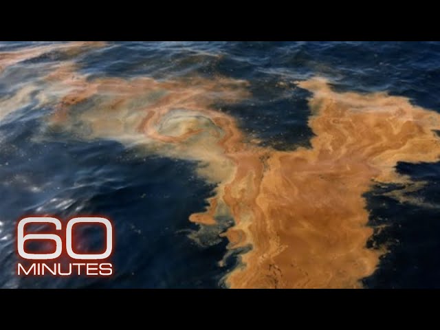 Taylor Fuel Taylor Fuel Oil Spill