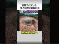 タイの大蛇岩に突如現れた目のサムネイル