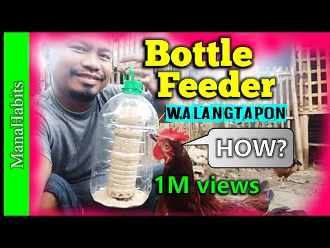 वीडियो: बोतल से फीडर कैसे बनाएं