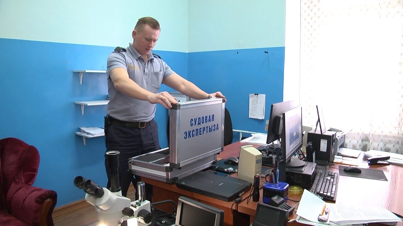 Какие судебные экспертизы можно сделать в Пинске? - YouTube