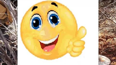 Finding Gold on a 3 month Break in the Outback of Western Australia Part 2