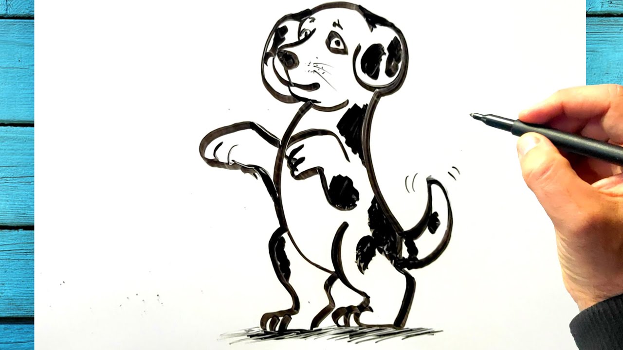 Dessin D animaux Trop Mignon Facile
