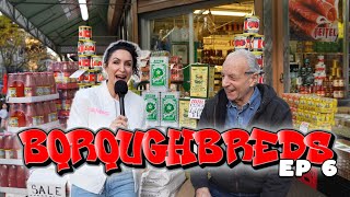 Best Market in The Bronx: Teitel Brothers - Boroughbreds ep 6 | Tara Cannistraci AKA Tara Jokes?