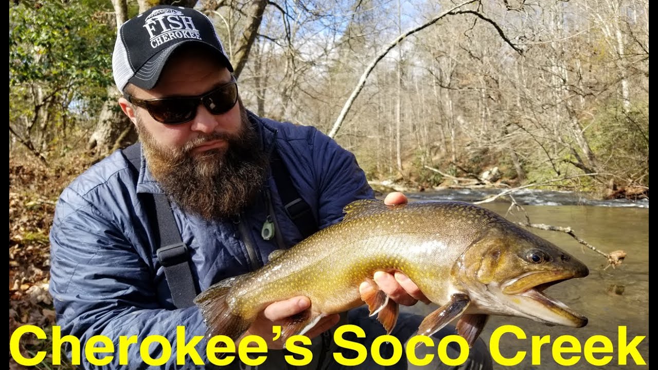 Trout Fishing Cherokee's Soco Creek YouTube