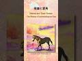 Mini Essay #28: Heroes and Their Horses – The Wisdom of Understanding and Care #shorts #AIArt
