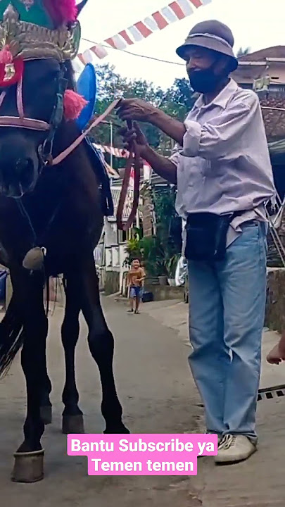 Kuda Tunggang Mari mari sini #kuda #kudatunggang #kudarenggong #dancinghorse
