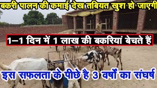 बकरी, GoatFarm और शेड का शानदार मैनेजमेंट | कमाई भी फार्म से शुरू हो गई Goat Farming In UttarPradesh