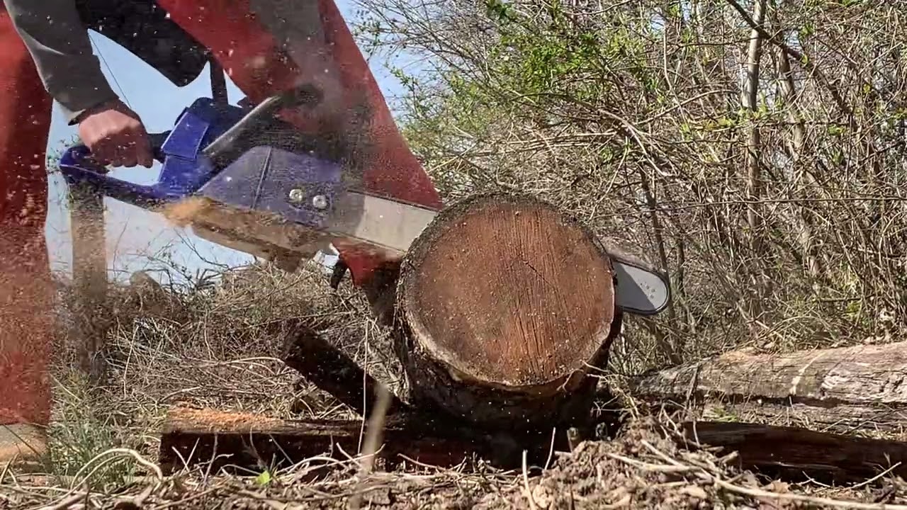 Holzfforma G260 Ported YouTube