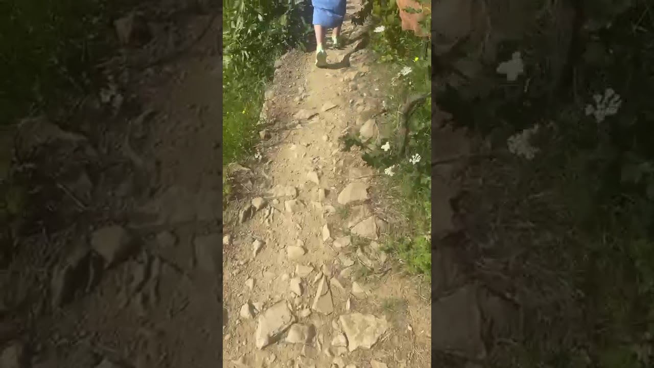 Hills and Mediterranean Sea Italy Genoa 