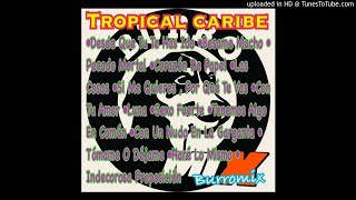 Tropical Caribe Mix (Burromix)