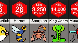Comparison: Deadliest Animals