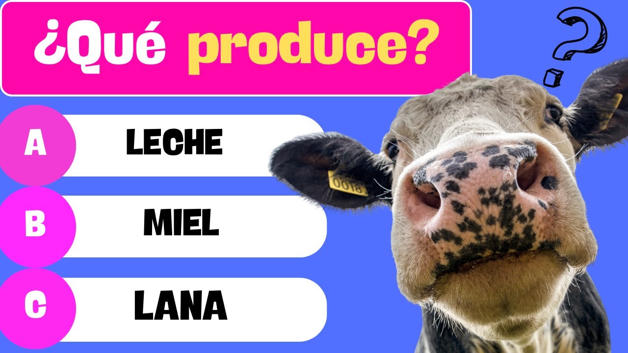 🏆 ¿Cuánto sabes de PRIMARIA? | 100 Preguntas de Cultura General 🧠