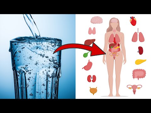 UNBELIEVABLE things happen to you when you Drink Warm Water EVERY DAY 💥