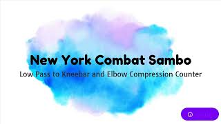 Lesson Teaser: Low Pass to Kneebar