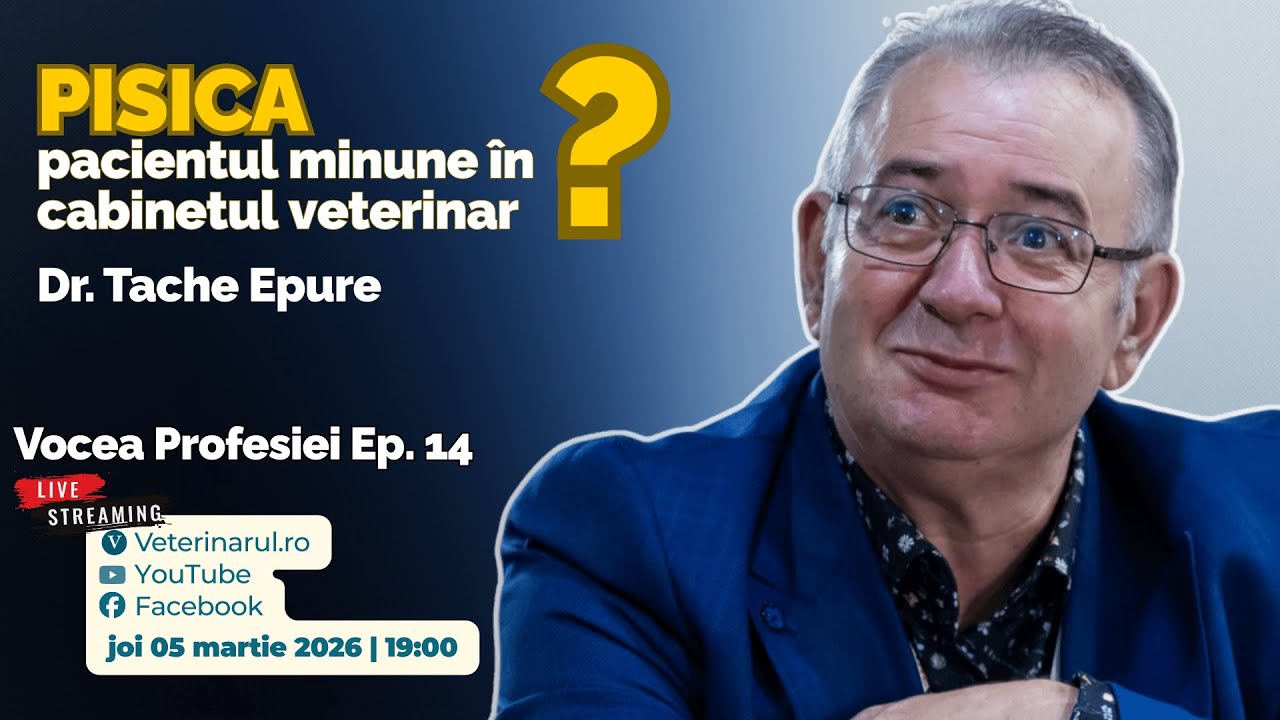 PISICA - pacientul minune în cabinetul veterinar - invitat dr. Tacke Epure