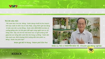 Hướng Dẫn Bón Phân Vụ Đông - Xuân Đạt Hiệu Quả Cao