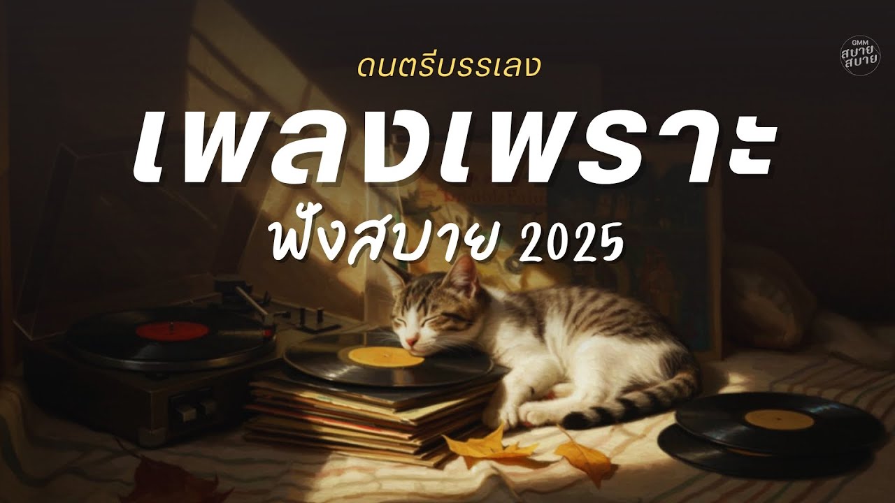 #ดนตรีบรรเลง รวมเพลงเพราะ ฟังสบาย 2025 Vol.9 | เพลงใหม่ล่าสุด ฟังยาวๆ ต่อเนื่อง
