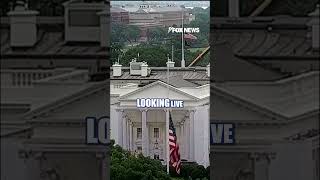White House lowers flag to half-staff for Lindsey Graham #shorts #us #news #breakingnews