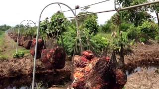 Cable Vía En Colombia