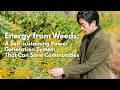 Energy from Weeds: A Self-sustaining Power Generation System That Can Save Communities