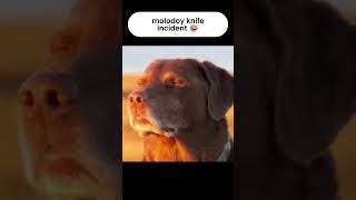 molodoy tries to backstab w0nderful 😂 #cs2 #cs2pov #thunderpick