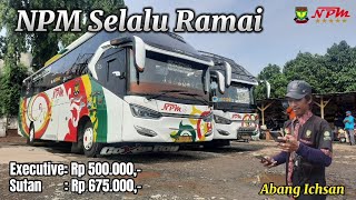 BERAPA HARGA TIKET NPM || INI PENJELASAN AGEN PONPIN || PEMUJA RAHASIA TERLUKA