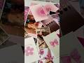 Meesho Pinteresty Wall Poster#shorts#ytshorts#meesho#meeshofinds#pinterestyfinds#viral#homedecor