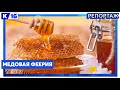 Медовая феерия