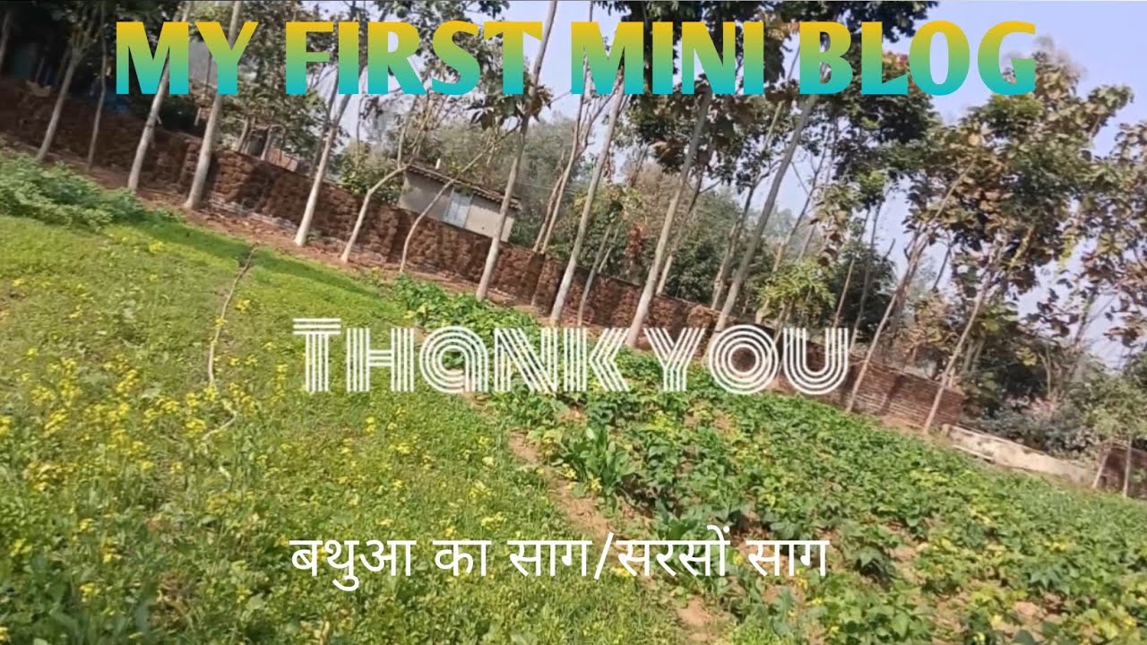 My first mini blog✨        