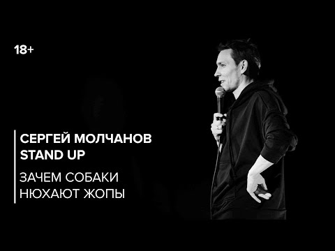 Stand Up. Сергей Молчанов. Зачем собаки нюхают жопы