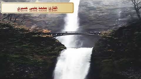 سورة المطففين لقارئ محمد يحيى عسيري مؤثره جامع العز بن عبد السلام(يَسِقًوَنَ مٌنَ رَحُيَق مٌٌختوَمٌ)