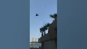 إلهي واسع الكرم ورب البيت والحرم 